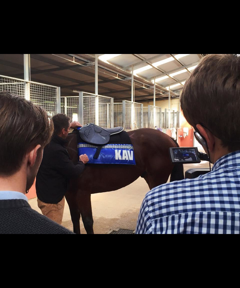 Offthetrack1