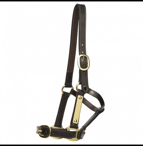 Ph Race Headcollar Plain 3261 500X482