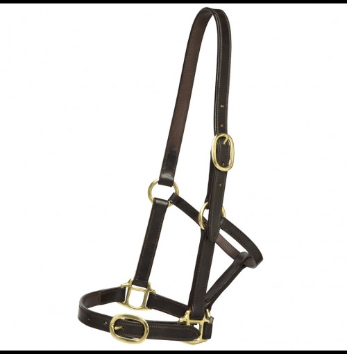 Ph Race Headcollar Plain 3263 500X482