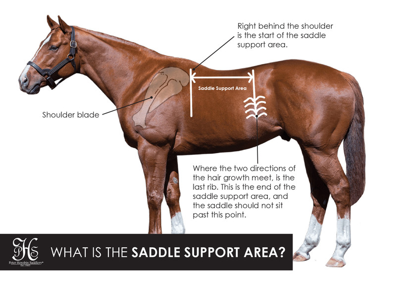 WHAT IS THE SADDLE SUPPORT AREA?