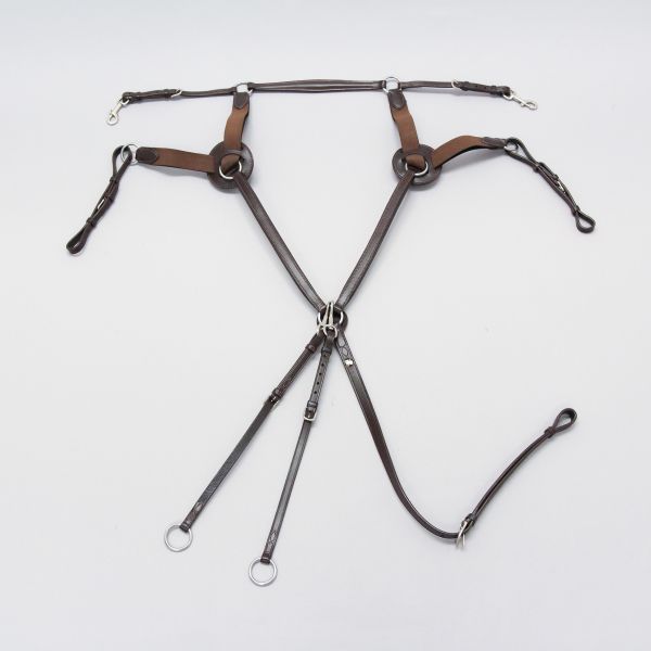 Phs 5 Point Breastplate