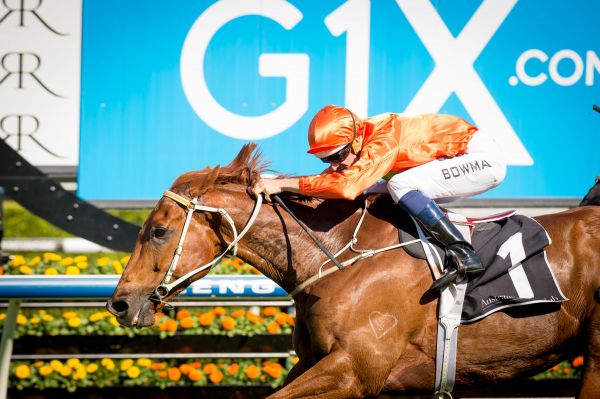 Race5 Terravista Hugh Bowman 03 10 15 G1 Xpremiere Stakes Royal Randwick Win 160