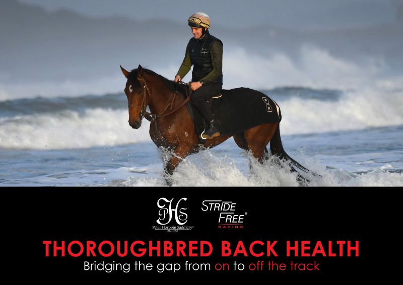 Thoroughbred Back Health Cover